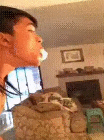 meduza_smoke