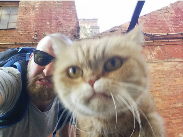 экрана 2016-12-18 в 16.27.38