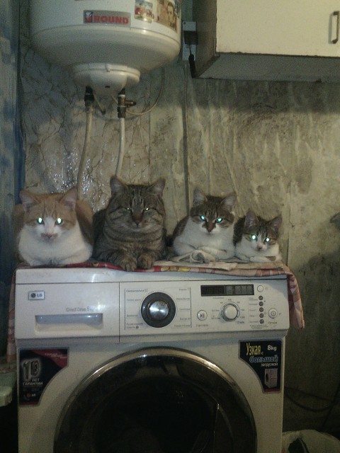 22 декабря 2016