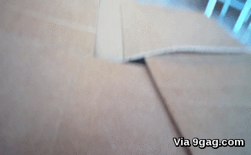 ezgif.com-8cbe6a8f25