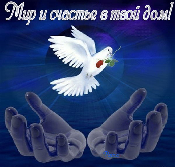 1Без имени