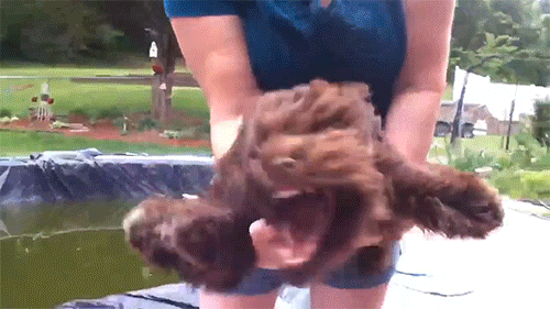 4999430b9cc158a0e1735d5aeab