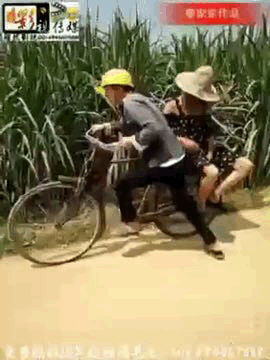 10 (1)