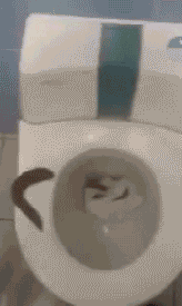 1370494736_496416202_yapfiles.ru