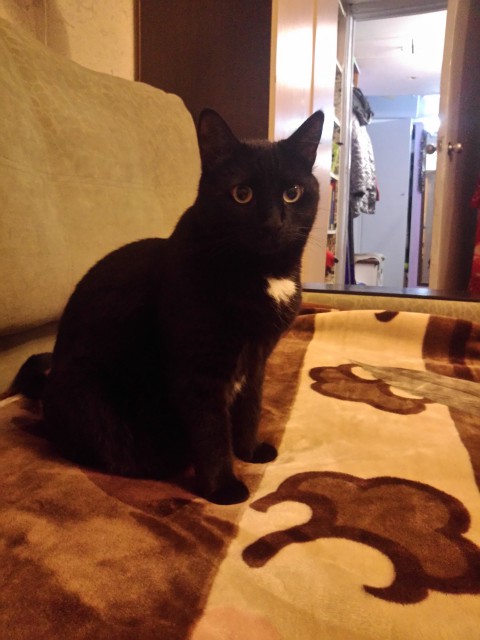 P_20161208_075401[1]