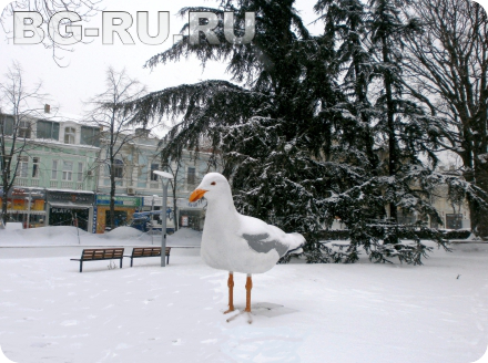 Погода в январе