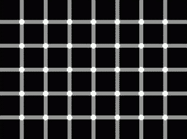 fakeillusion19