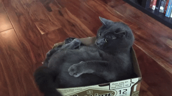 02cebf06105c18f3538906334de