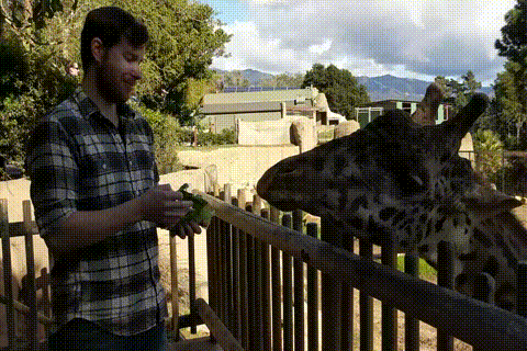 a8b2c8718bb3dd6e8112ebfa1db