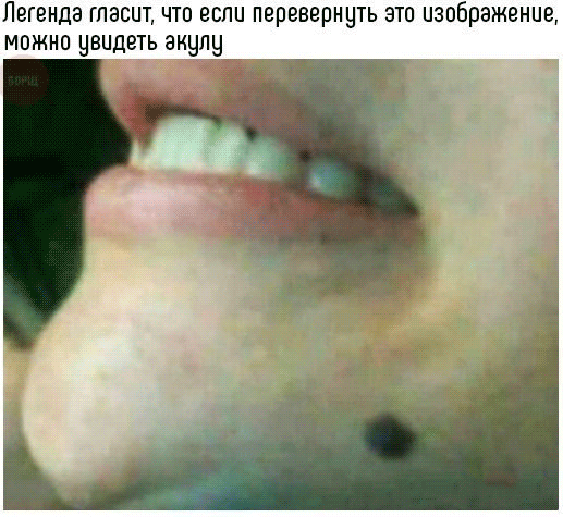 -имени-1