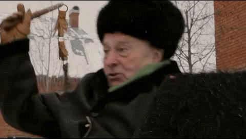 112180822_pesochnicaZHirinovskiygifkiudalyonnoe138781