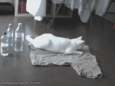 1460384973_gif30