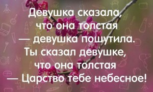 NxfDZd6kCbE