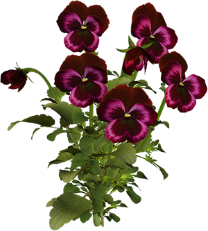 08