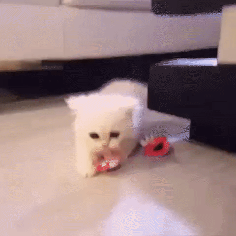 Кто не успел - тот опоздал!