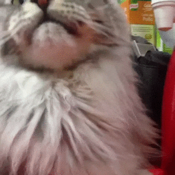 Субботнее утро