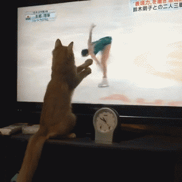 Страсть к фигурному катанию