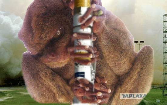 post-3-1239777248263512312331