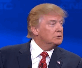 227943_8d3c2ee1_fc82b73a2a0e3ecfdf9edeaa108496ed_jg