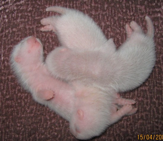 все о Варе 348 1