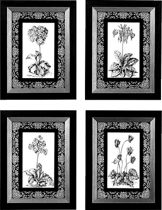 quadpicbw_yapfiles.ru0