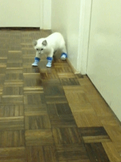 приходишь домой бухой и стараешься не спалиться