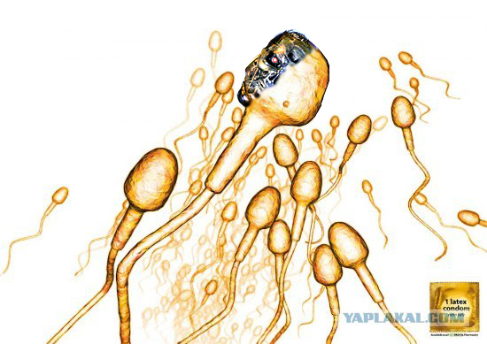 Терминатор