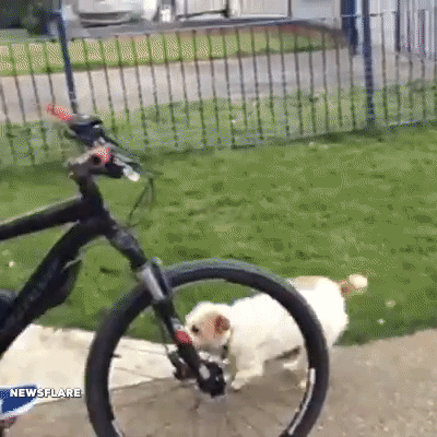 Садись, поехали