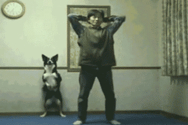 Гимнастика