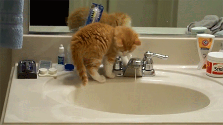 1370174373_1348578901