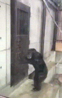 Kogda_khochesh_v_tualet_a_tam_uzhe_kto-to_sidit