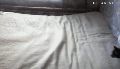 Миссия выполнима2