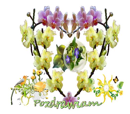 Animation1.wiosnagif