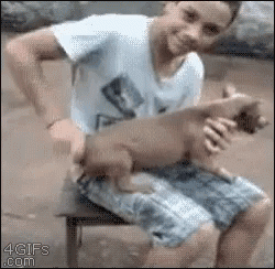 17198926_1451635781527685_873725641_n