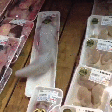 Очень свежая рыбка