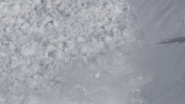 ezgif.com-video-to-gif (1)