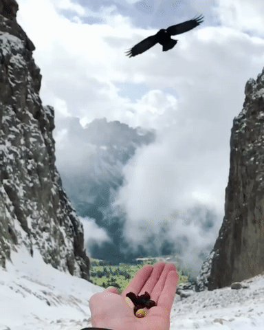 ezgif.com-video-to-gif (7)