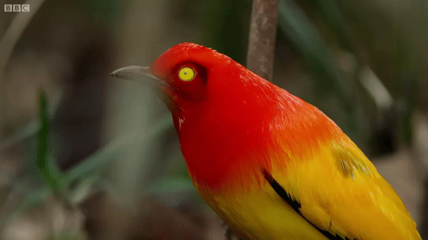 ezgif.com-video-to-gif (9)