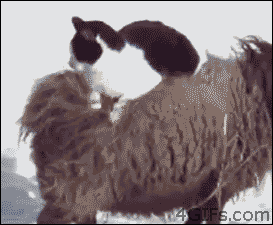 tumblr_om048vQ12J1t95h1uo1_400