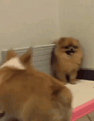 c29fcd886e61674dc04872dcffae72df607ff5e58ed048b014f6a7ffcb00936e_1