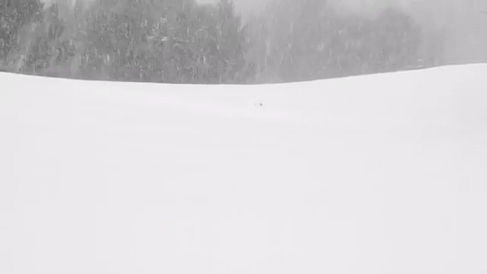 5719ef90c2d69fe66f45c11f47a