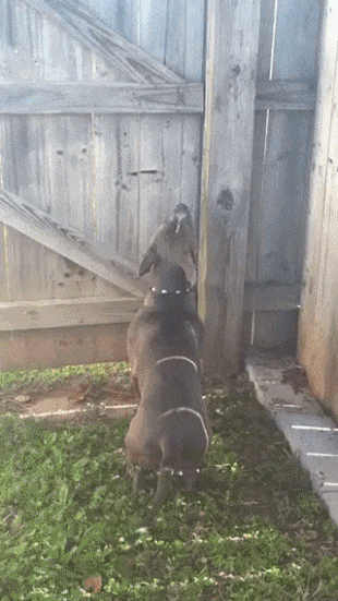 c0597a509d557c28b4524513580