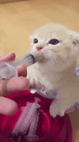 c7164f32b430ea19b2d5010c8aa