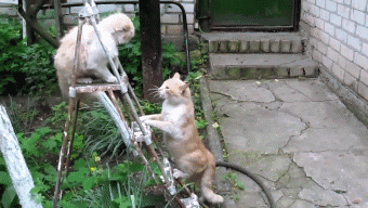 7a7c4a3921151ddd4458d16a3e6