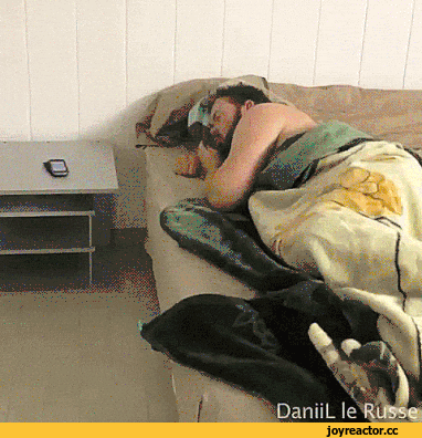 8897fc9cd99248f3ded9530730b