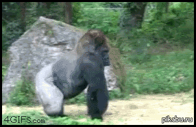 1356434754_1469575949