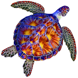 klasscy5sized5_zps1mw6zamp