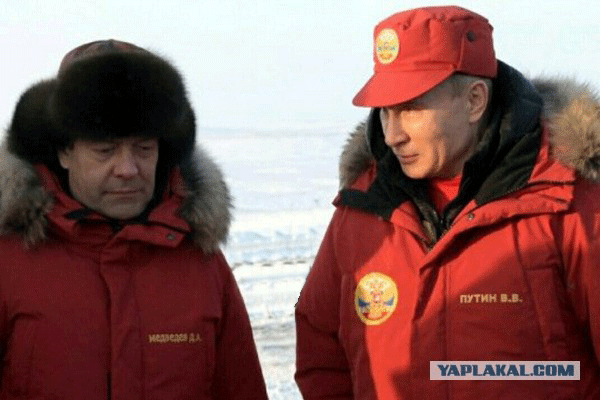 Арктика
