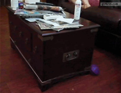 perpetual_motion_bulldog