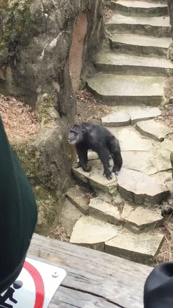 День не задался))